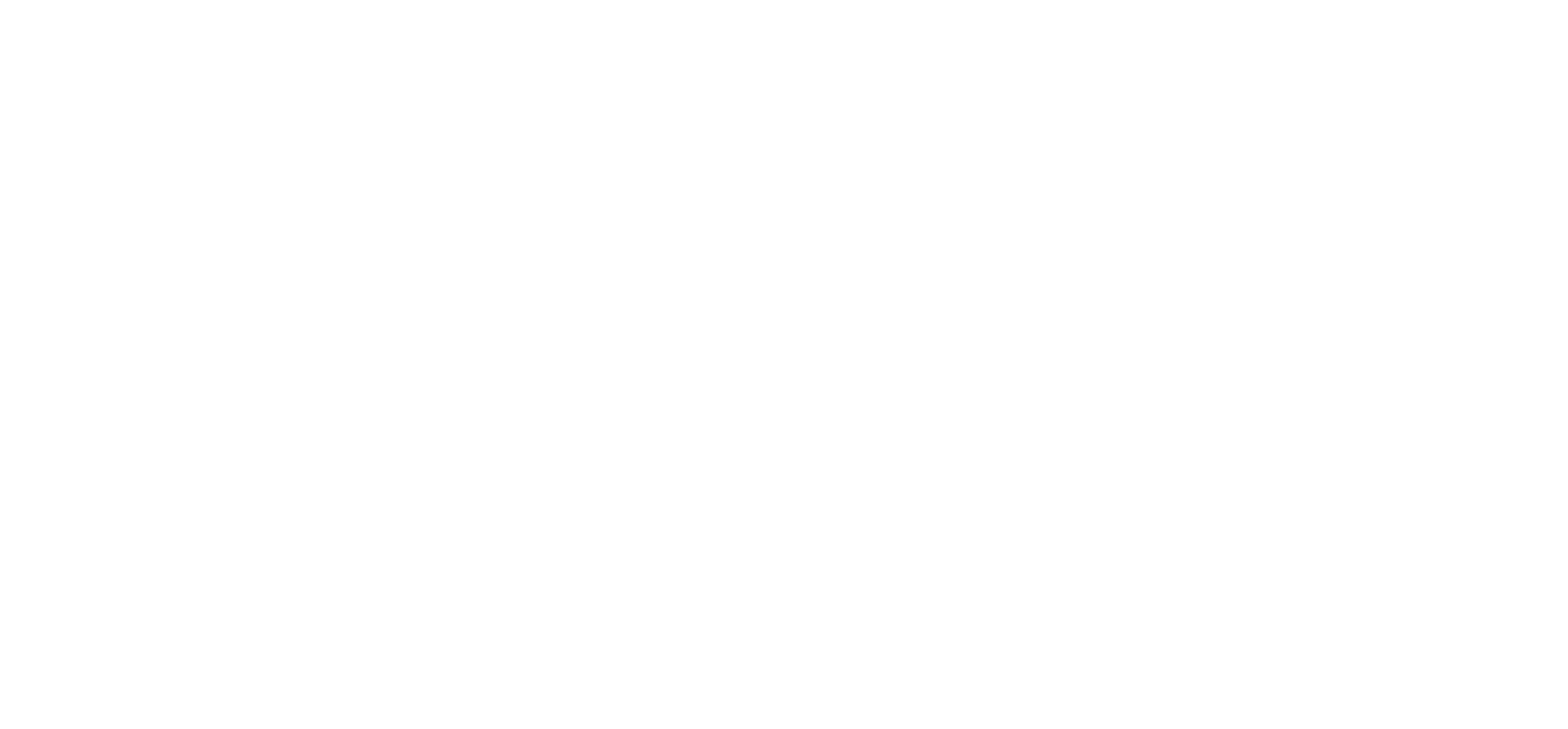 Garmin Logo With Delta white high res